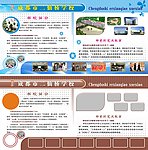 学校展板