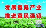 蚕桑
