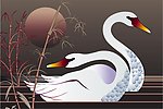 天鹅