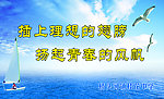 校园文化