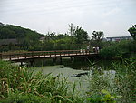 南宋八卦田 小河