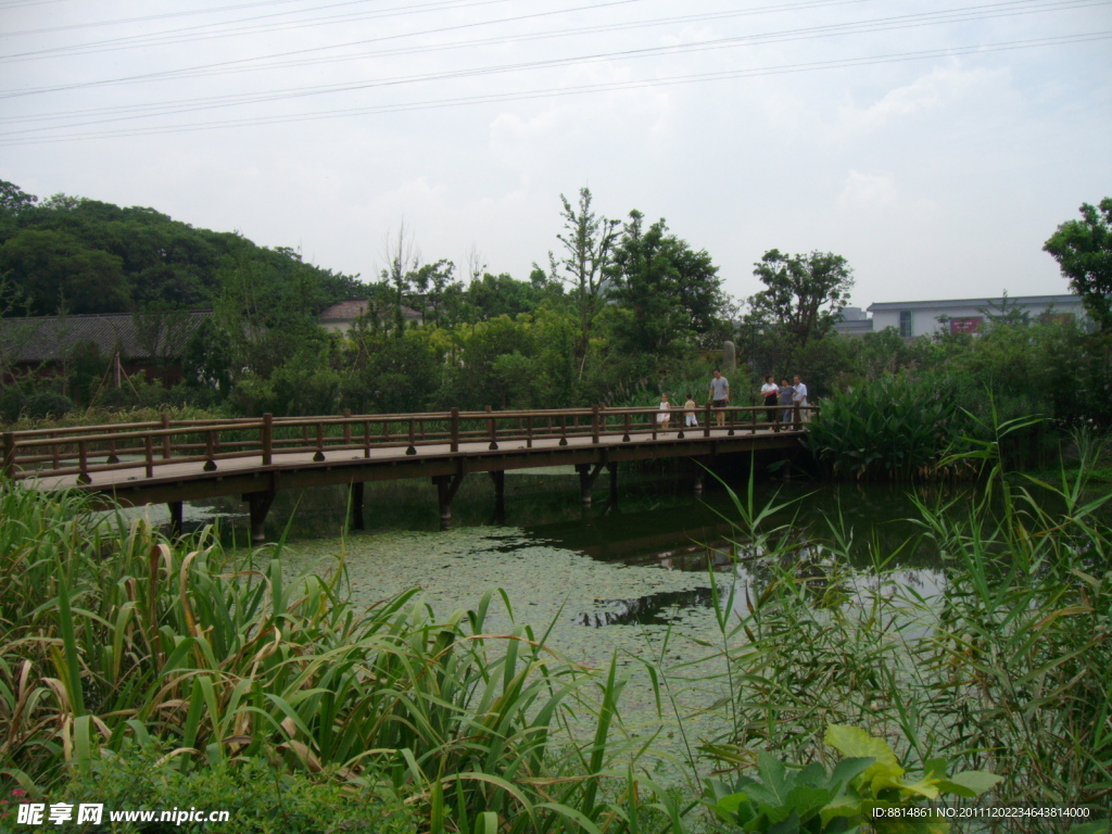 南宋八卦田 小河