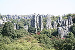 石林