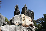 石林