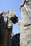 石林
