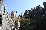 石林