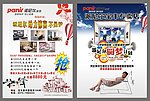 派尼尔DM宣传单