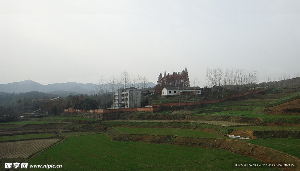 新山村