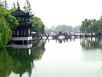 曲院风荷 水