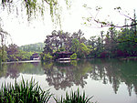 曲院风荷 湖