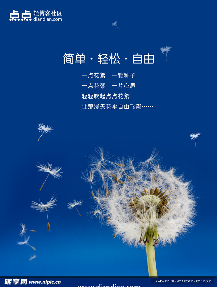 蒲公英海报
