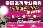 泰国圣荷美胸