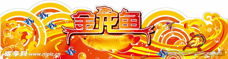 金龙鱼