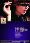 中环星座 房地产创意形象