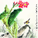 美人蕉小鸟