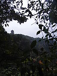 张家界美景一角