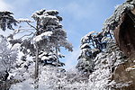 黄山雪景