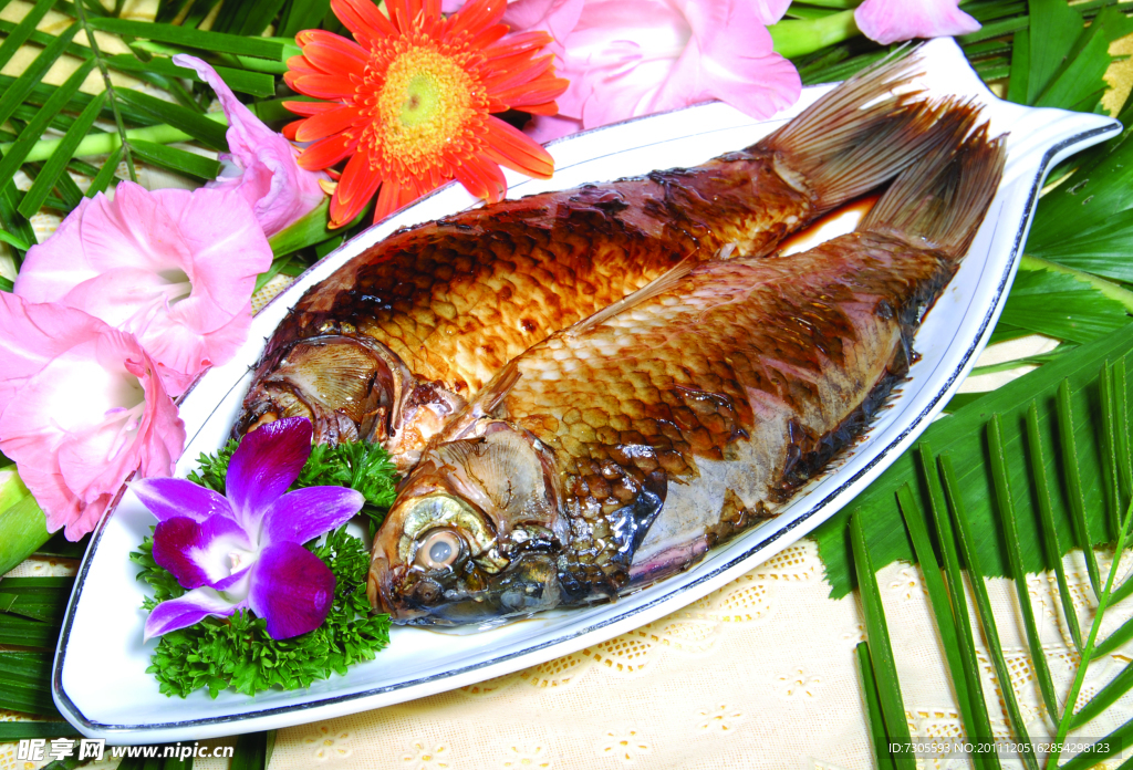 鲤鱼