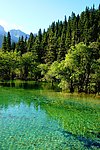 黄龙风光