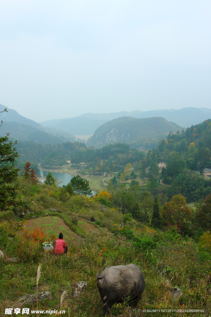 大山人家