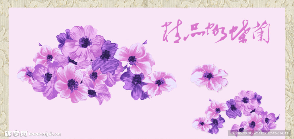 蝴蝶兰