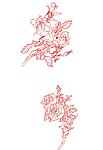 月季