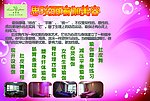 思琰丽