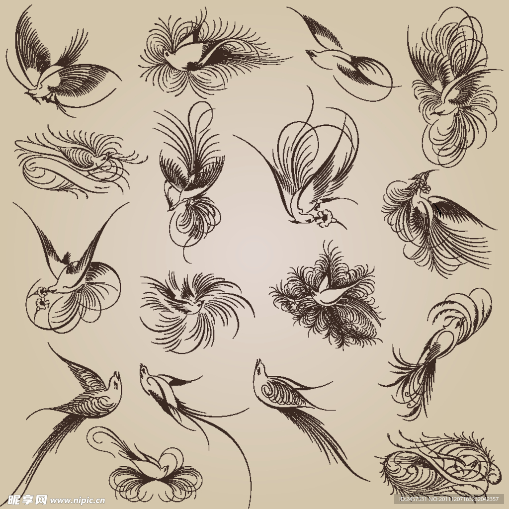 小鸟花纹花边装饰设计矢量