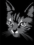 可爱的小猫