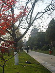 西安环城公园