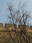 西安环城公园