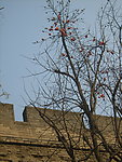 西安环城公园