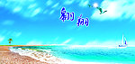 翱翔天空