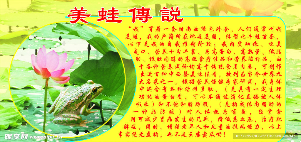 美蛙传说