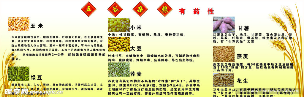 五谷杂粮