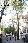 城市景观