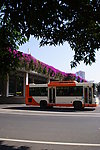 城市旅游