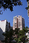 城市建