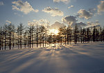 雪原黄昏