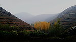 山坳里的秋林