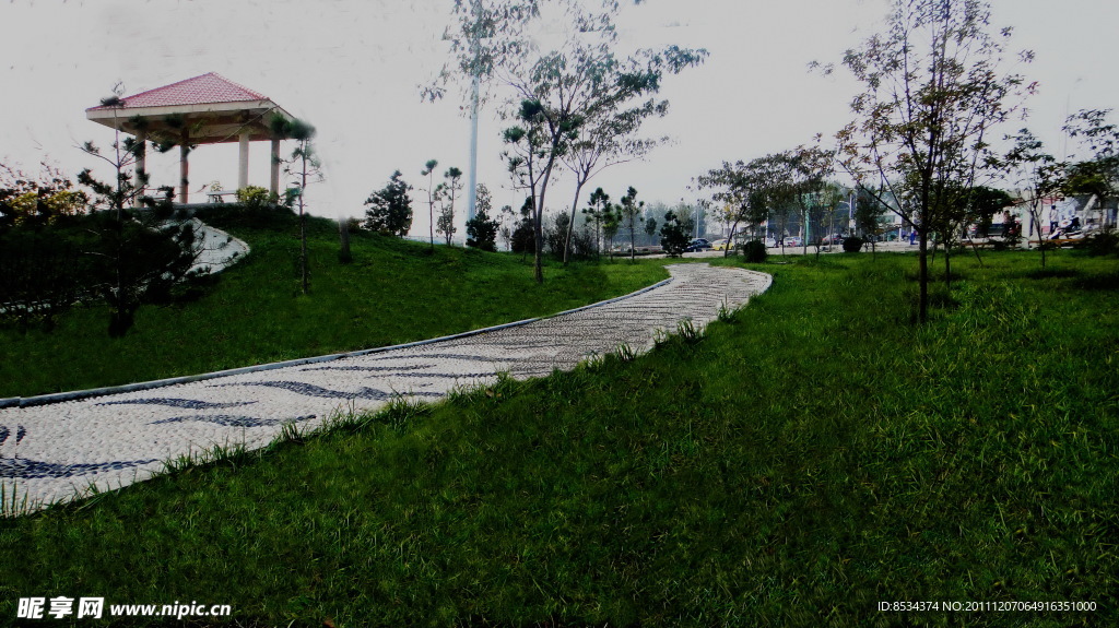 生活小区的路