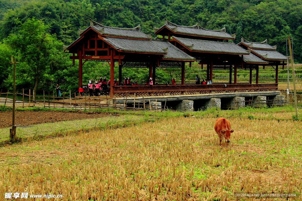 农闲时节