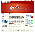 集团网站