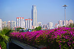城市建筑景观