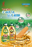 岳秀玉米胚芽油