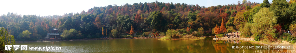 半坡湖看枫林
