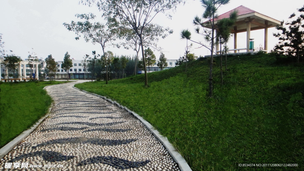 小区的路