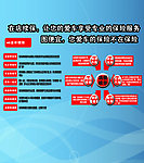 东标标致