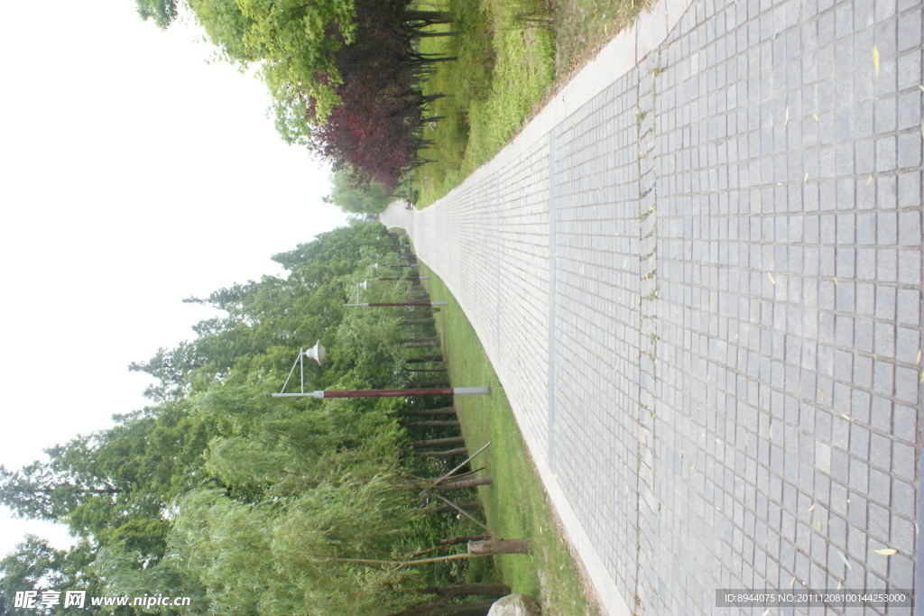 林间小路