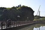 下午木栈道上温馨的画面